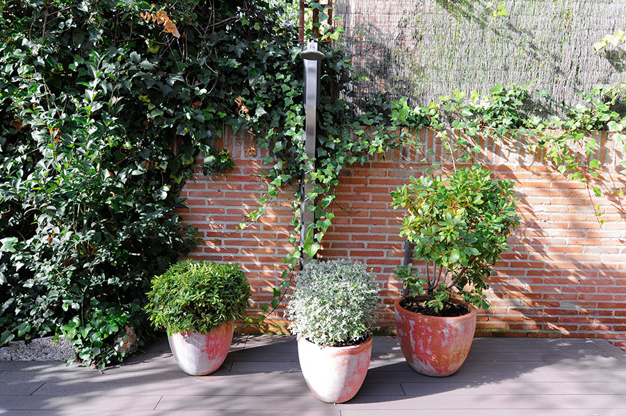 Jardineras con plantas